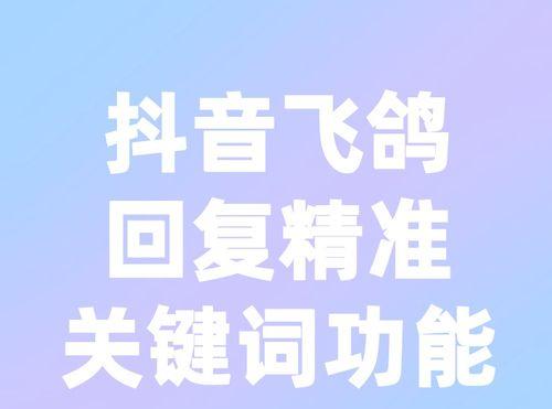 如何使用飞鸽客服排名功能提升客户服务质量（抖音飞鸽客服排名功能详解）
