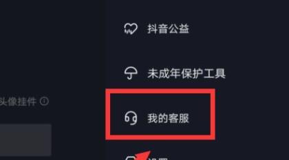 抖音客服介入在哪里（探究抖音客服介入的服务范围）
