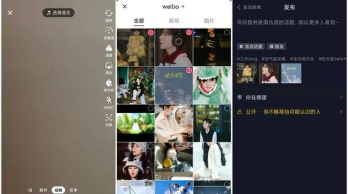 视频号与抖音号的区别（深度解析两者的特点和应用场景）