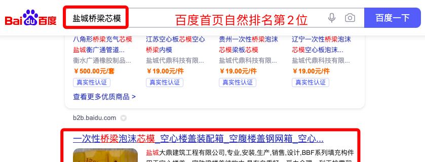让网站长时间停留在首页的实用技巧（如何通过优化策略提高网站排名）