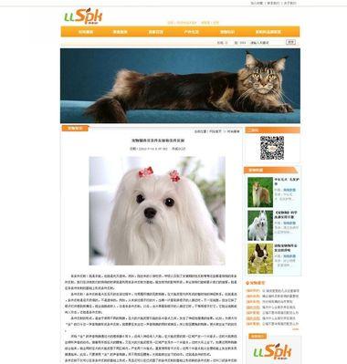 让网站内页快速收录的10个技巧（从优化内容到建立外链，提高网页收录效率）