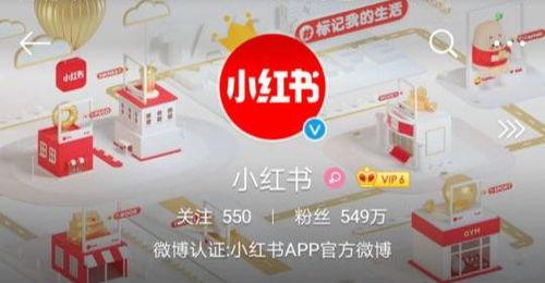 教你如何高效地利用小红书为产品或服务做推广（小红书推广方法全解析）