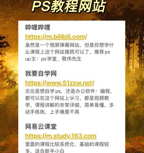 如何打造一个优秀的网站？（探索优秀网站的必备元素与关键特征）