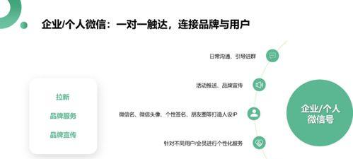 微信视频号点击量的奥秘（探究点击量的关键因素和提升方法）