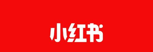 小红书官方号运营攻略（小红书内容技巧分享）