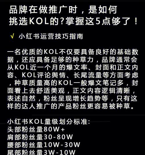 小红书推广收费详解（了解小红书的推广收费模式，让你更地投放广告）