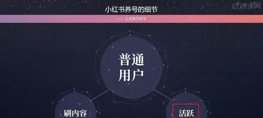 小红书运营方案：如何打造一个成功的社交电商平台？