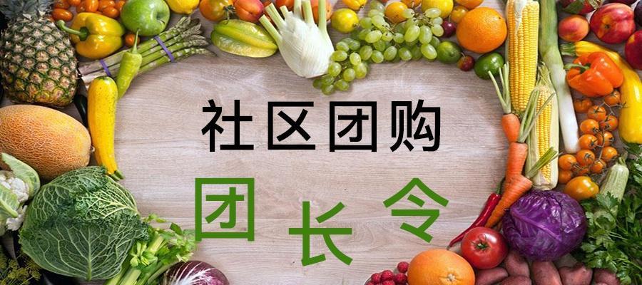 如何运营社区团购？——需要的资质和注意事项（从选址到管理，全面了解社区团购的一切！）