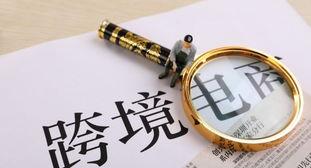 跨境电商入门指南（从小白到专业卖家的必修课）
