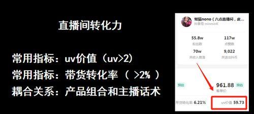 揭秘抖音UV值（如何解读和提升）