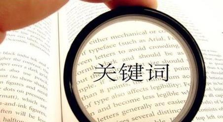阳春seo关键字优化（阳春seo技巧策略）