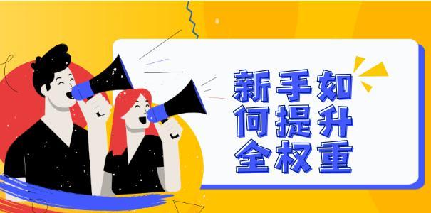 提升网站权重与收录的有效方法（从优化内容到建立链接，如何让网站获得更好的排名）