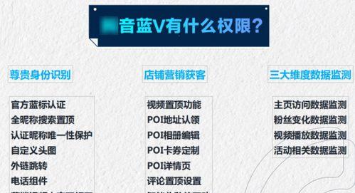 视频号蓝V认证的好处（提升内容质量，拓宽用户群体）