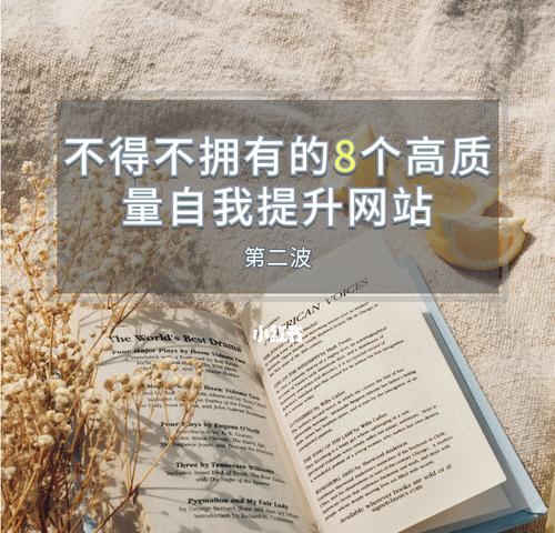 提高网站质量的关键（从优化内容到增加安全性，打造高质量网站）