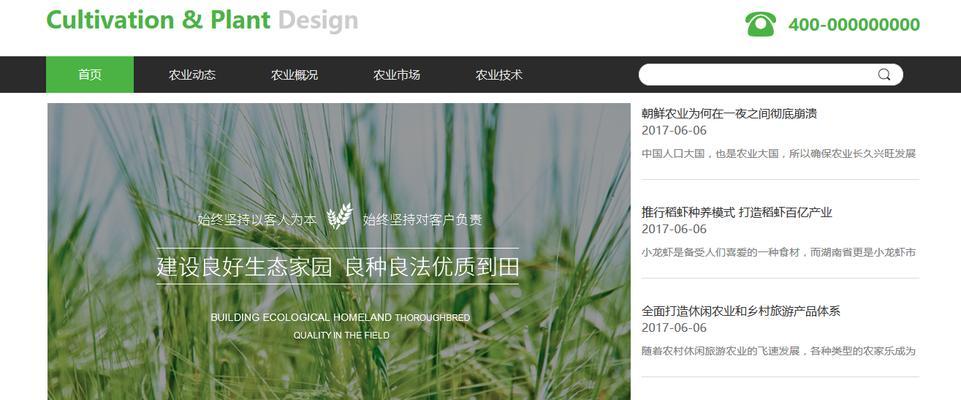 网站导航设计的重要性（优化用户体验提升网站价值）