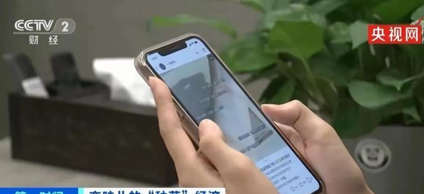 网站推广中寻找水军，风险与挑战（疯狂网络世界的代价与法律约束）