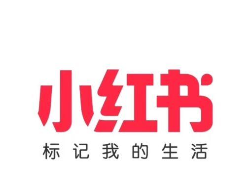 小红书广告投放方式详解（为你打开品牌营销新思路）