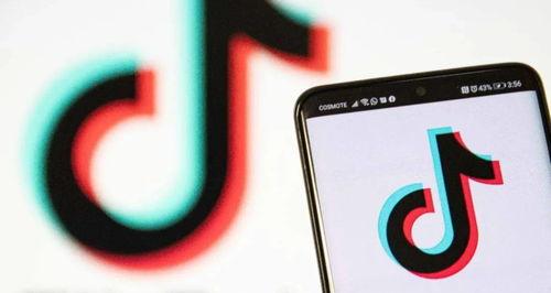 TikTokShop搬单商家管控政策解读（关注用户体验的商家自我约束）