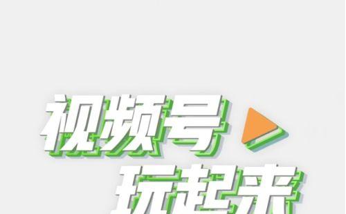 掌握微信视频号（玩转常用营销平台）