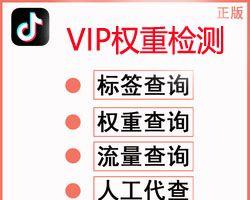 抖音号标签的使用技巧（掌握这些技巧，让你的抖音号更加火爆！）