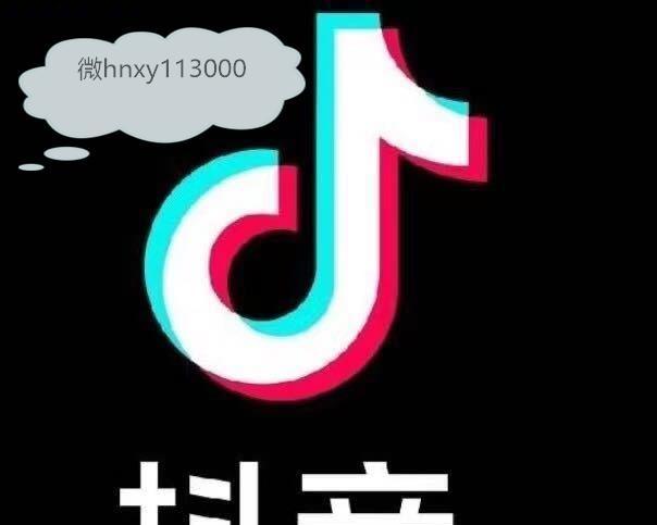 抖音快速涨粉攻略（打造有影响力的抖音账号，让你的粉丝翻倍增长）