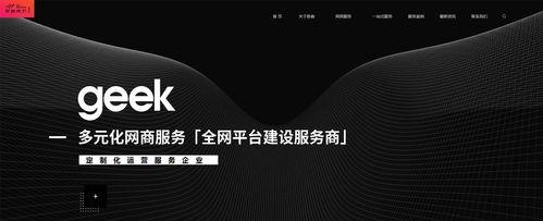 网站SEO优化（掌握SEO技巧，让您的网站成为搜索引擎的宠儿）