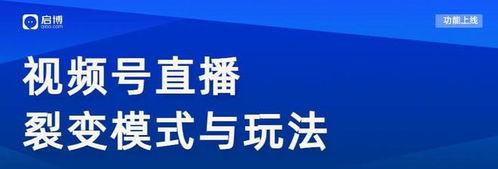 利用微信视频号进行电商推广的实用技巧（视频号上实现卖货创收）