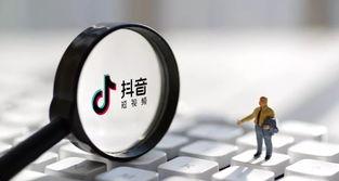 探究抖音带货口碑分低的原因（营销策略或产品质量存在问题）