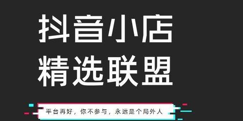 抖音小店鲁班投放攻略（提升抖音小店收益）