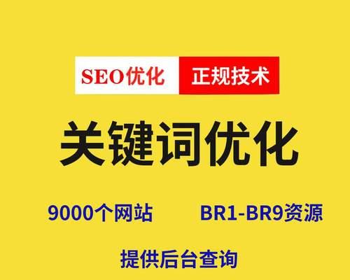 新网站优化，让你的网站更上一层楼！（优化方案、技巧、步骤详解）