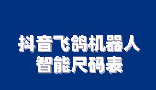 揭秘抖音飞鸽会员信息栏（功能与使用技巧）