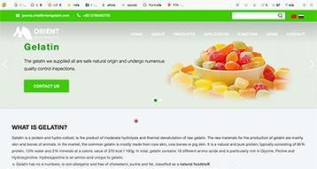 新网站如何更快做上排名（实用的SEO优化技巧）