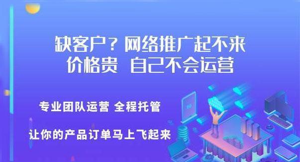 新网站要如何获取流量？（探讨新网站优化与流量获取的关系）