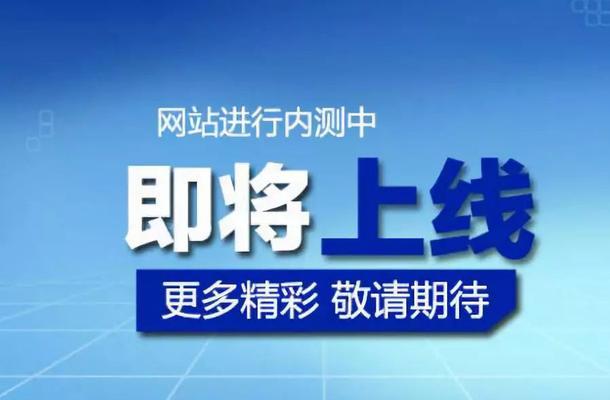 移动互联网下的网站推广策略（应对新时代，迎接新机遇）