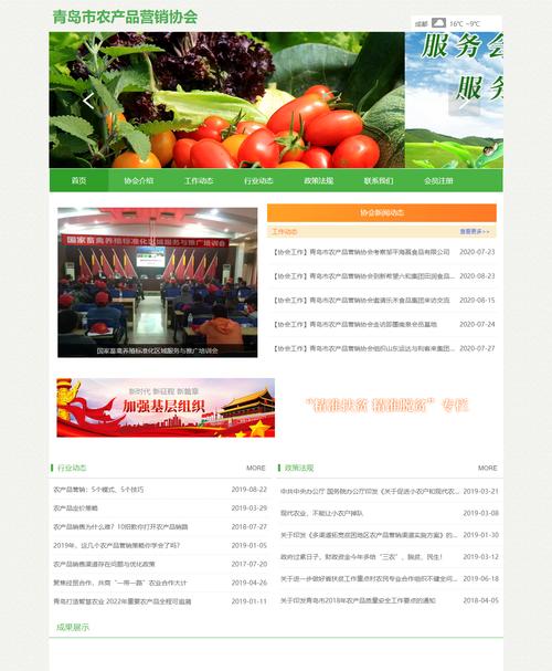 营销网站设计的关键方面（注重用户体验与品牌形象）
