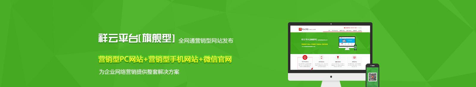 营销型网站的分类与应用（探讨营销型网站的主要类型及其特点）