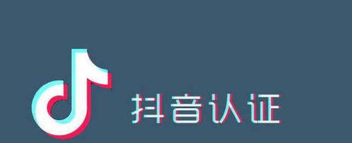 抖音官方旗舰店认证详解（从认证流程到商家权益全面解析）