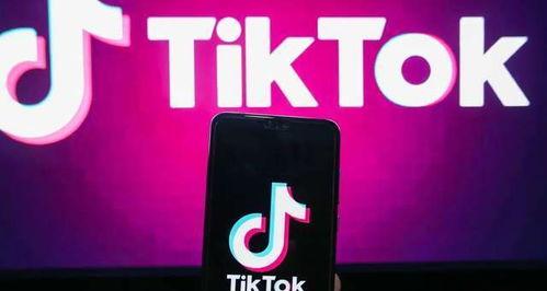 探秘TikTokShop电商权限（电商权限的关键是什么）