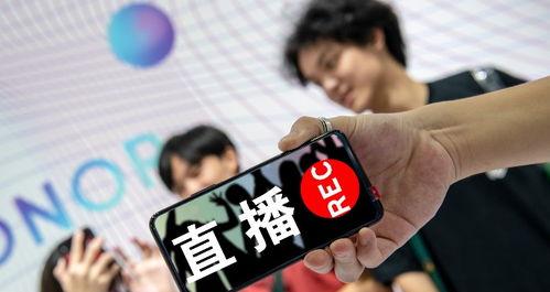 抖音主播带货佣金结算详解（结算方式和流程）