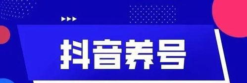 新手如何开展高效抖音运营（学习抖音运营的基本知识）
