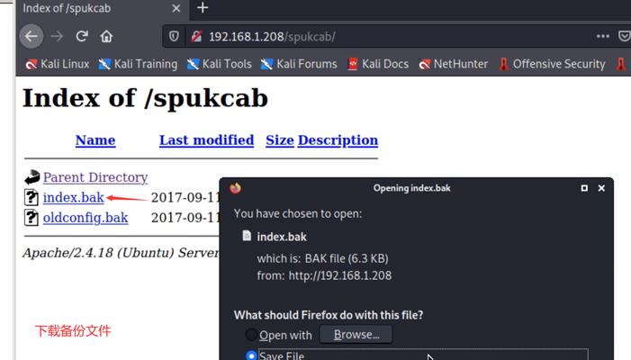 如何检测网站是否存在注入漏洞（从SQL注入到XSS漏洞，掌握网站安全攻防关键技巧）