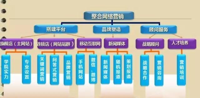 如何选择适合自己的公司做网站排名？（了解行业、公司实力、综合服务是关键）