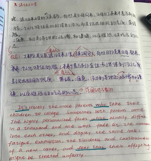 如何优化网站内容以获得更好的搜索引擎收录率（从研究到内部链接，实现搜索引擎优化的最佳实践）