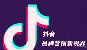 抖音火箭贵还是嘉年华（投放广告的成本与效益）