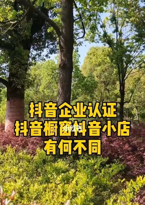 抖音小店与橱窗开通（“抖音小店”“橱窗开通”）