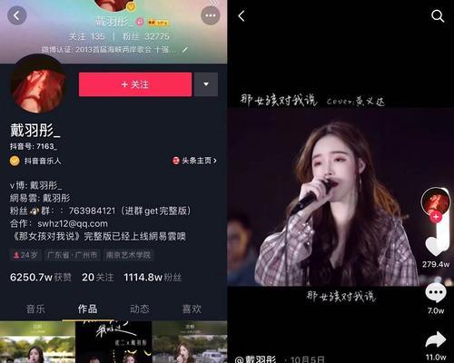 如何在抖音上破1000粉丝？（学会这些技巧让你的视频更受欢迎）