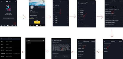 抖音登錄權限開通指南（教你如何在抖音上開通賬號登錄權限，盡情享受抖音樂趣）