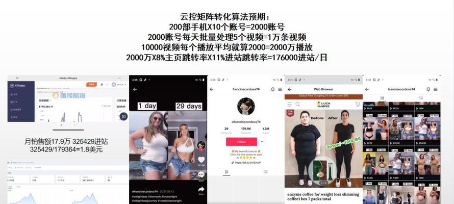 
TikTok广告变现大揭秘（探究TikTok如何通过广告实现变现，并提供变现方式及注意事项）
-IT菜鸡教程网-IT技术博客
-第3
张图片