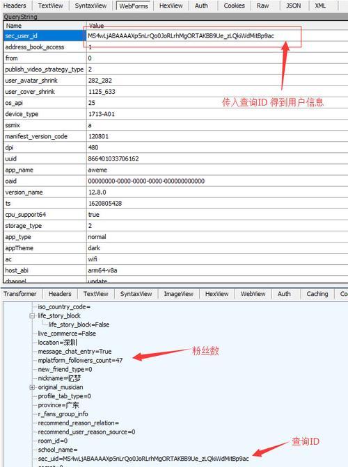 抖音IP地址可以改吗？解密抖音账号安全问题（了解抖音IP地址更好地保护自己的账户安全）