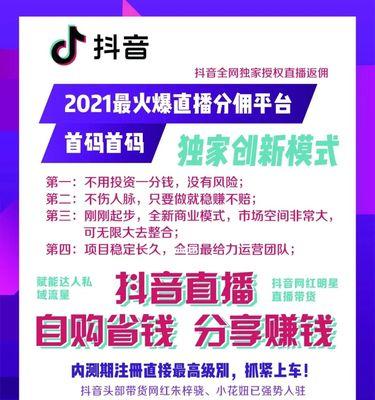 
掌握这些抖音变现方式，轻松赚钱不再是梦想（了解抖音变现方式，从此告别望钱生畏）
-IT菜鸡教程网-IT技术博客
-第2
张图片